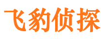 张家界市私家侦探